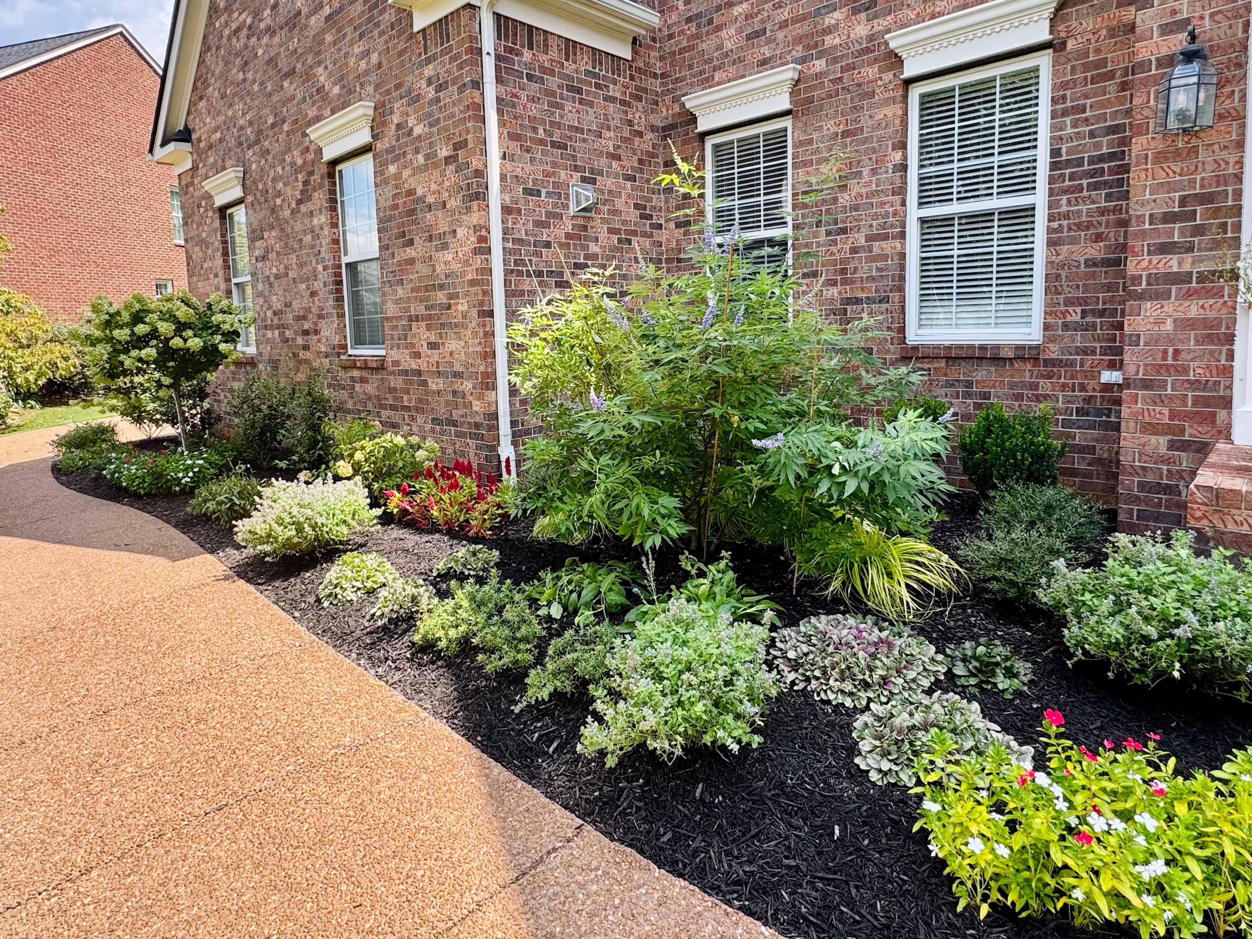 Cantwell after vitex